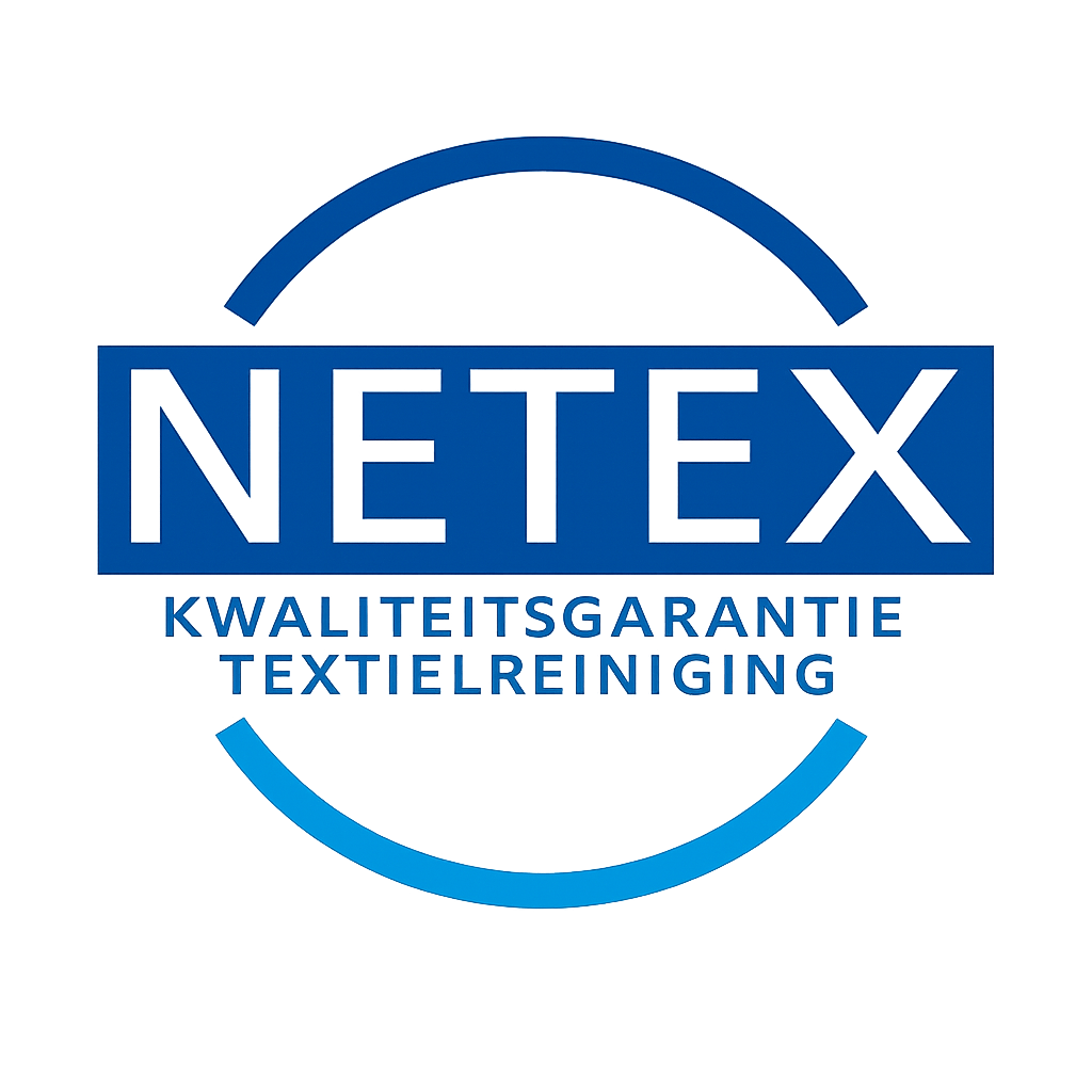NetEx logo