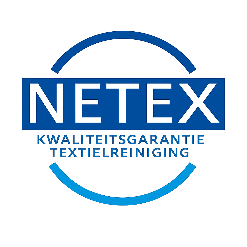 NetEx logo